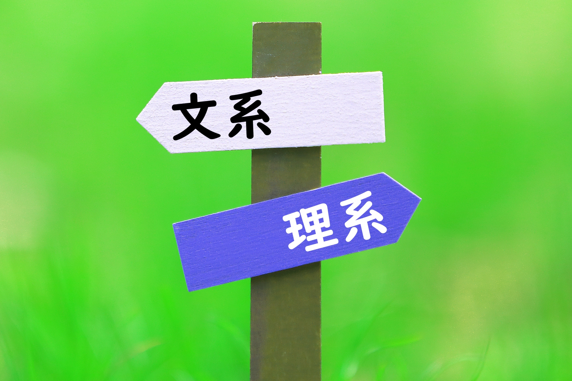 1980年の理工学部プログラミング教育から2026年現在の選択肢までと、現在、芸術・アートとコンピュータテクノロジー、ビジネスを融合して学べる大学学部